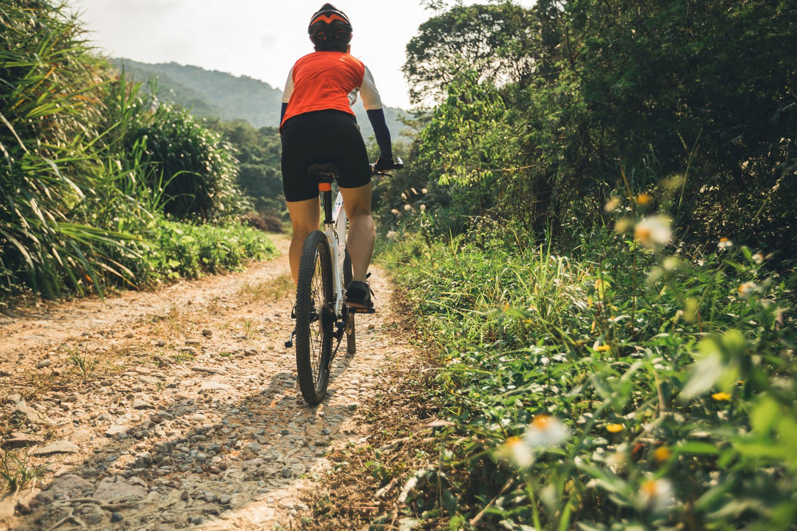 Prosecco Bike Hotel Relais Le Betulle Conegliano