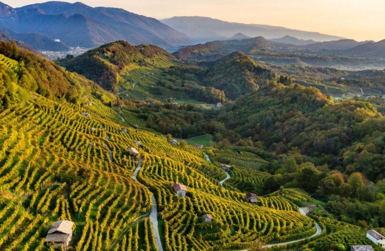 Unesco recognition of the Prosecco Hills of Conegliano Valdobbiadene and Ais headquarters